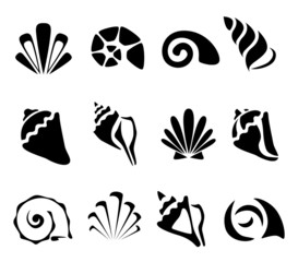 Abstract shell symbol set