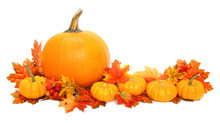 Autumn Arrangement Of Pumpkins With Red Leaves