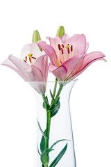 Poster - Lilies in a glass vase