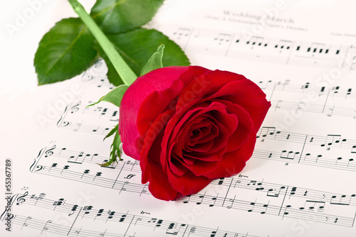 Tapeta ścienna Czerwona róża i muzyka