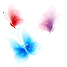 Colored Butterflies On A White Background