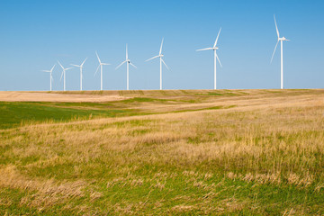 Wall Mural - Wind turbines farm