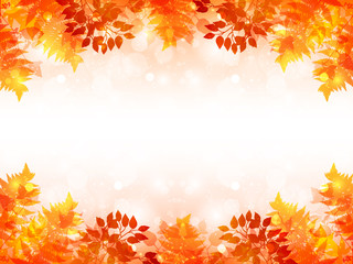Wall Mural - もみじ　紅葉　背景