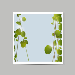 Poster - vector card with green leaves
