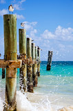 Fototapeta  - Old pier on the Caribbean sea