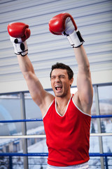 Winner. Cheerful young boxer keeping his arms raised while stand