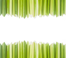Wall Mural - green papyrus,background