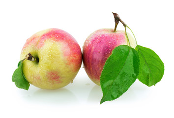 two apples