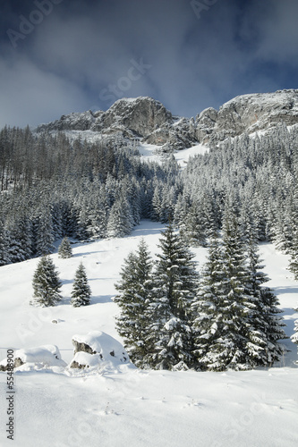 Fotoboard na płycie Śnieżny widok na Tatry, zimowa seria pejzaży.