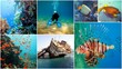 bunte Unterwasserwelt Collage