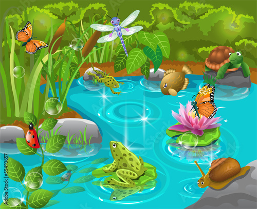 Doppelrollo mit Motiv - animals in the pond (von thea07)