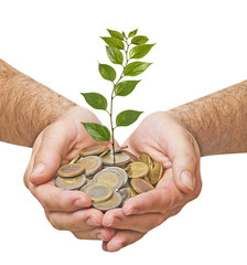 Investing to green business