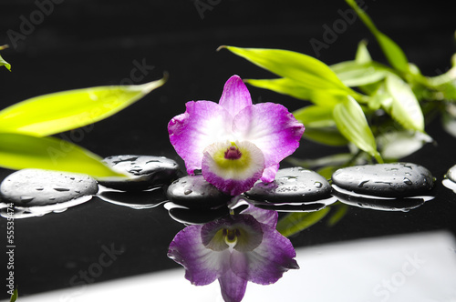 Tapeta ścienna Różowa orchidea i bambusowy liść z refleksją kamienie terapii