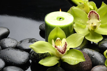 Wall Mural - Green orchid and candle on black stones