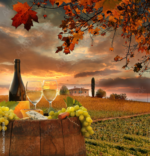 Tapeta ścienna Białe wino z barell w winnicy, Chianti, Toskania, Włochy