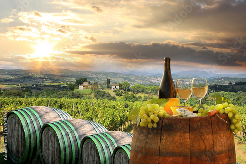 Tapeta ścienna Białe wino z barell w winnicy, Chianti, Toskania, Włochy