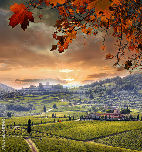 Naklejka dekoracyjna Vine landscape in Chianti, Italy