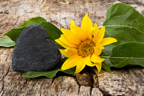 Fototapeta do kuchni Sonnenblume mit Schieferherz auf Holz, Textfreiraum