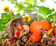 Herbst: Stillleben mit Gießkanne und Früchten