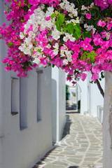 Traditional greek backstreet in small village