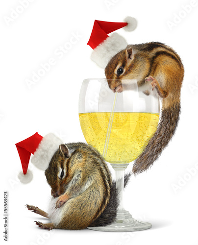 Naklejka dekoracyjna Funny drunk santas, chipmunks dress santa hat