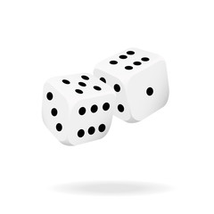 Two white dice