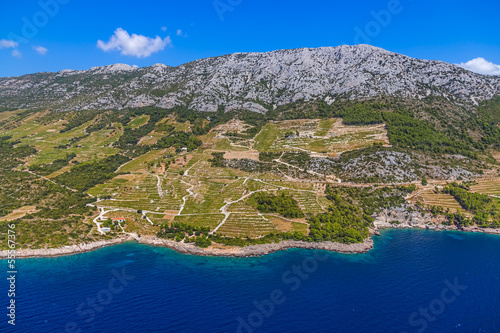 Board z aluminiowym obramowaniem Winnice dingac na półwyspie Peljesac