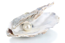Open Oyster With Pearl Isolated On White