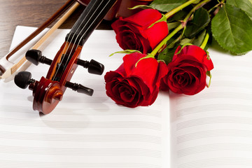 Red roses and a violin