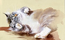 古いヴィンテージの子猫アート 無料画像 - Public Domain Pictures