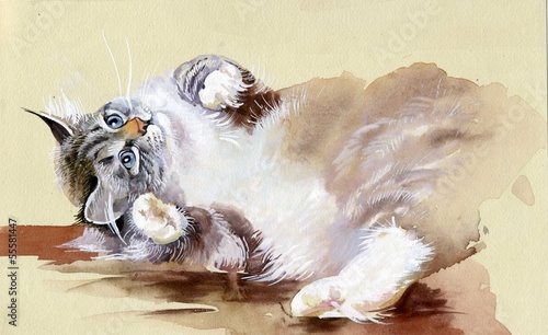 Fototapeta na wymiar Watercolor Animal Collection: Cat