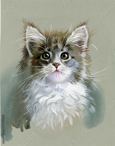 Tapeta ścienna na wymiar Watercolor Animal Collection: Gray Cat