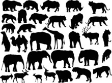 Thirty Two Animal Silhouettes Isolated On White