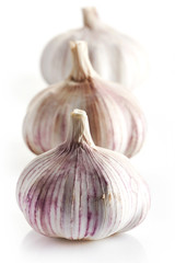 Wall Mural - Garlic on a white background