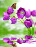 160_f_55609487_ocgv6x4ndcvoa8f0hukkk4ojfkvmnkf2
