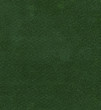 © vl1 - green paper texture,