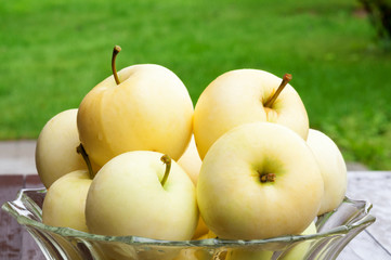 Apples in Bowl 4