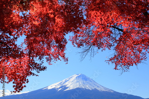 Naklejka samoprzylepna Jesienni liście na Mt Kawaguchiko i Mt Fuji