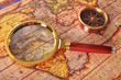 © vladi_mir - Map and compass