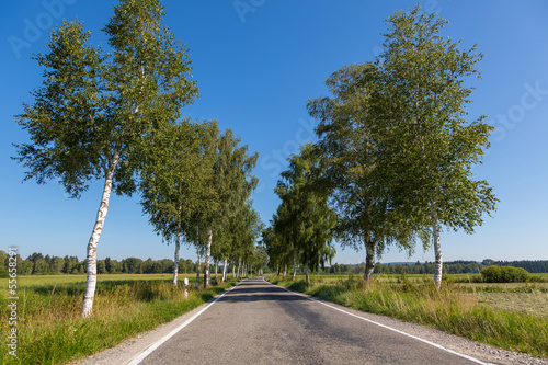 Naklejka samoprzylepna Landstrasse