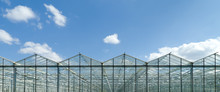 Greenhouse Exterior