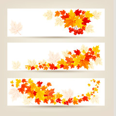 Poster - Three autumn banners with colorful leaves Vector