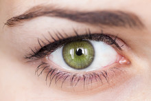 Human Green Eye With Reflection. Macro Shot.