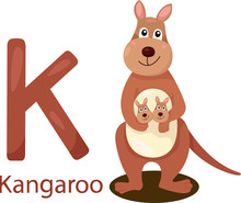 Illustrator Of K With Kangaroo