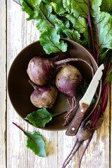 Canvas Print - Beetroot