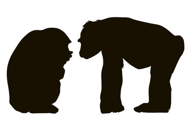 Two monkeys.  Vector silhouette. EPS 8