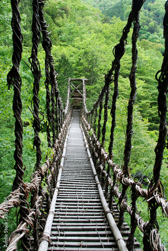 Board z aluminiowym obramowaniem Pont de lianes kazura-bashi a oku iya, shikoku, japon