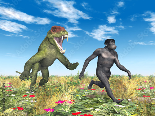 Obraz w ramie Homo Habilis - Die Evolution des Menschen