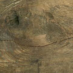 old wood texture