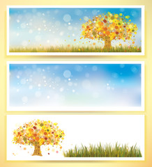 Wall Mural - Vector autumn banners and elements for design.